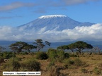 Kilimanjaro 2005