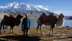 Silk - Road / Kazakhstan- China - Kirgisia