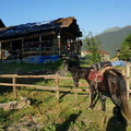 tusheti (10).JPG